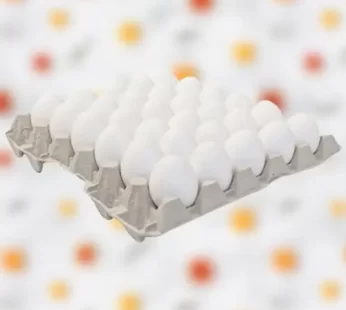 Eggs 30 Tray